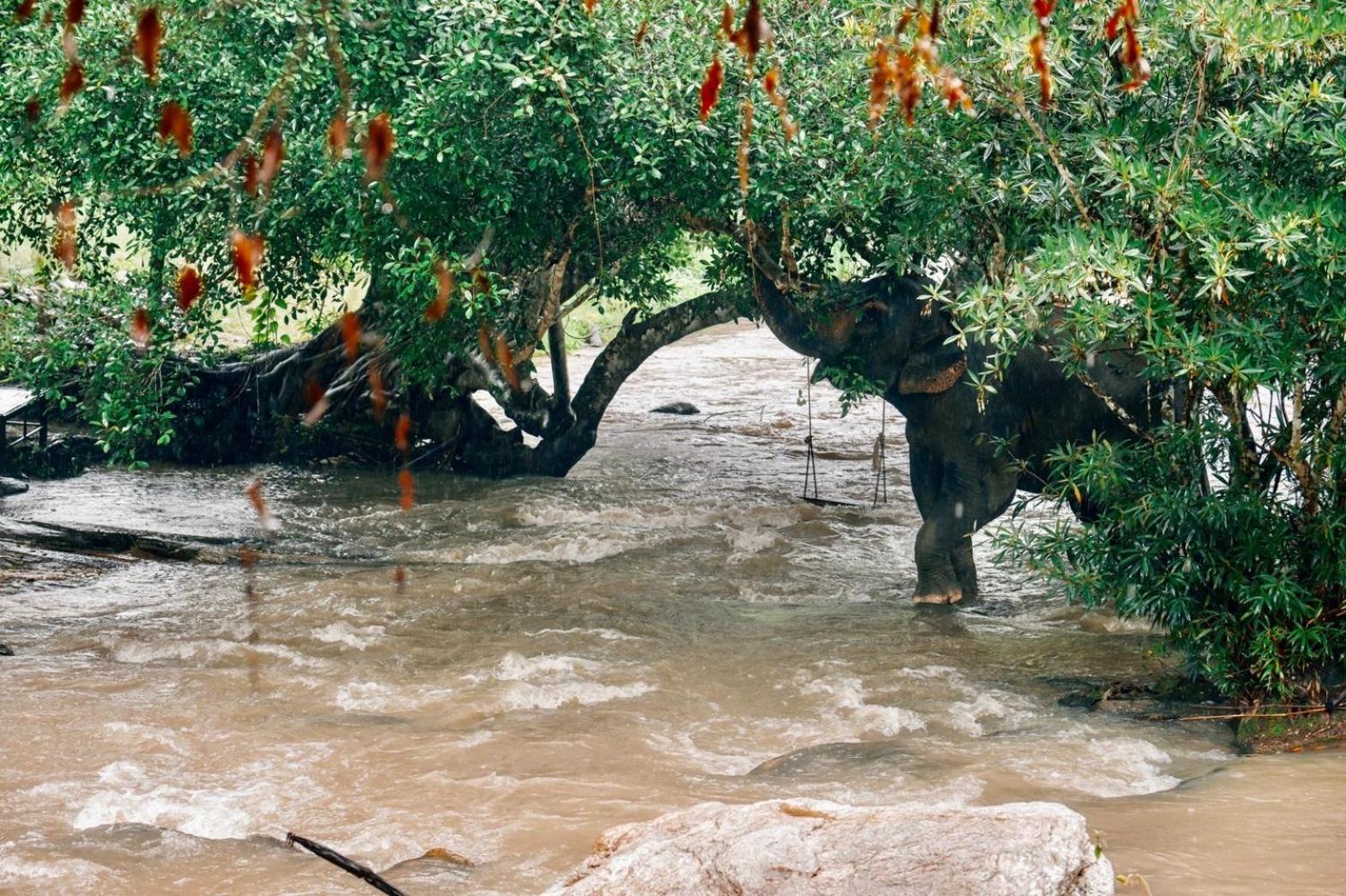 3Pok-Riverside Maewangjinxiang Mae Wang Luaran gambar