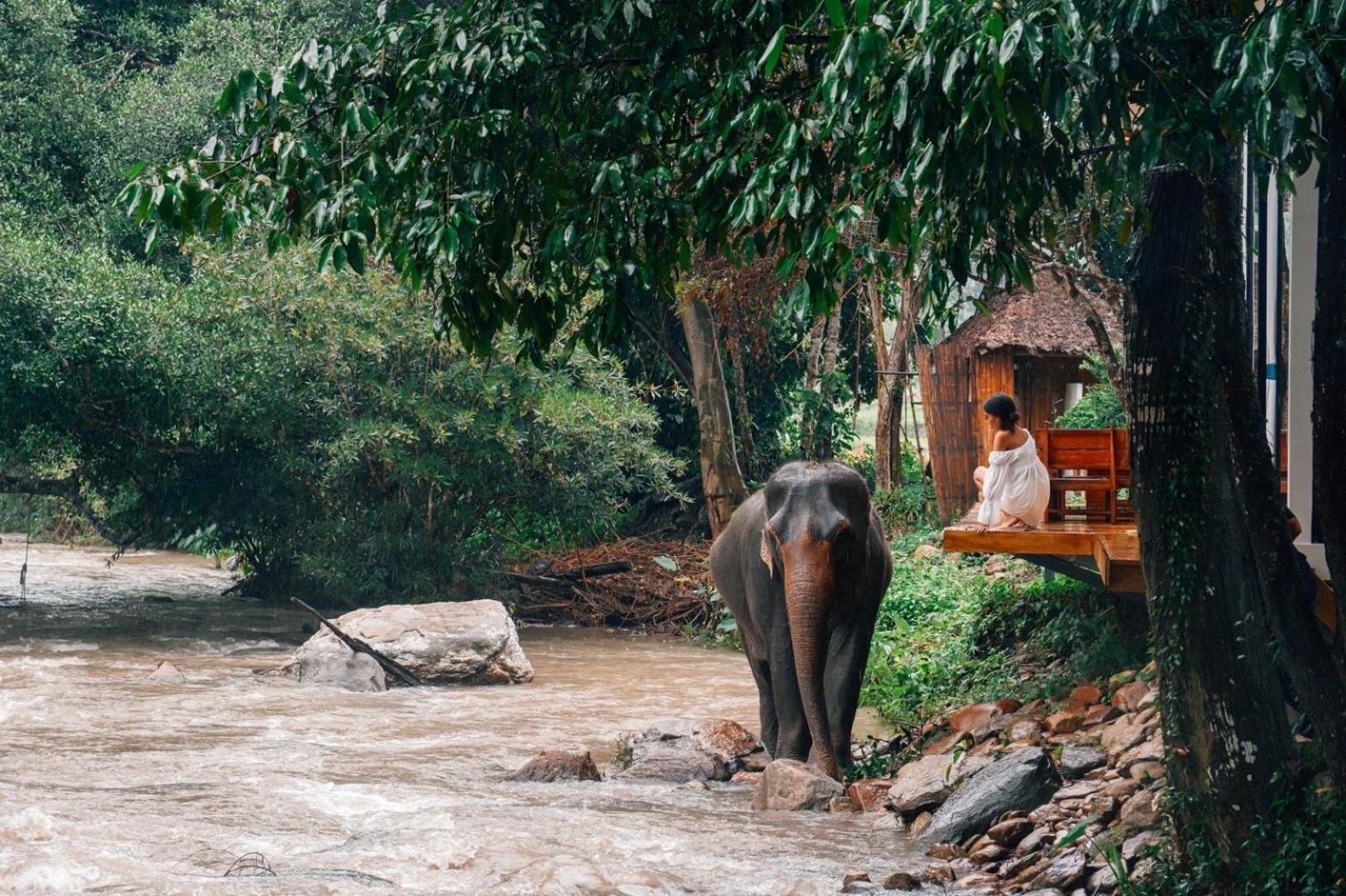 3Pok-Riverside Maewangjinxiang Mae Wang Luaran gambar